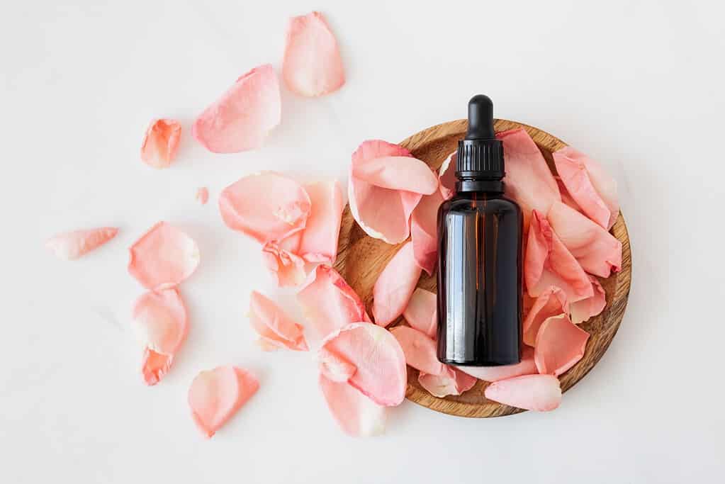 an oil canister with flower petals