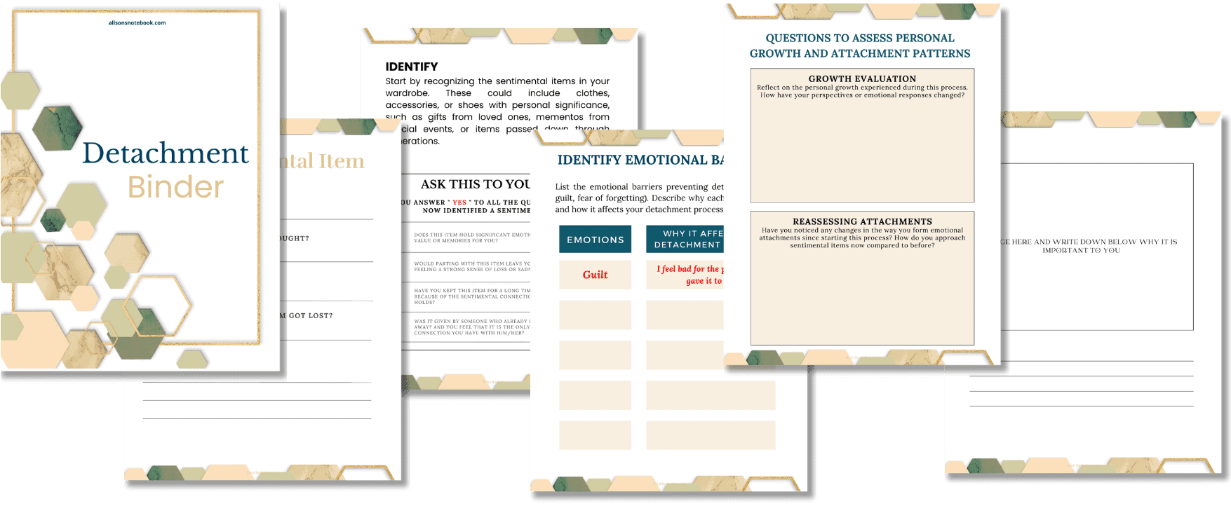 The Business of Franchising(10)