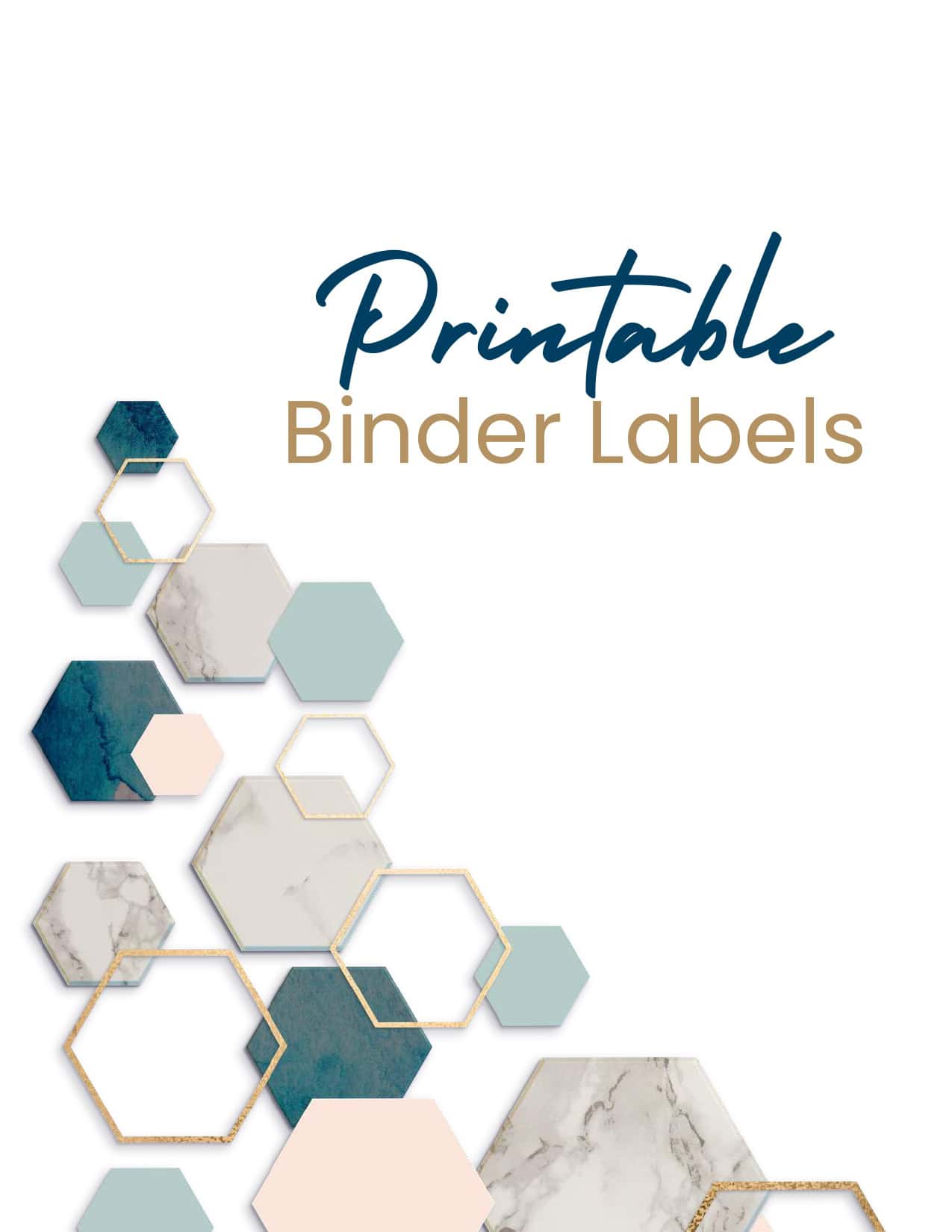 Printable Binder Labels bonus