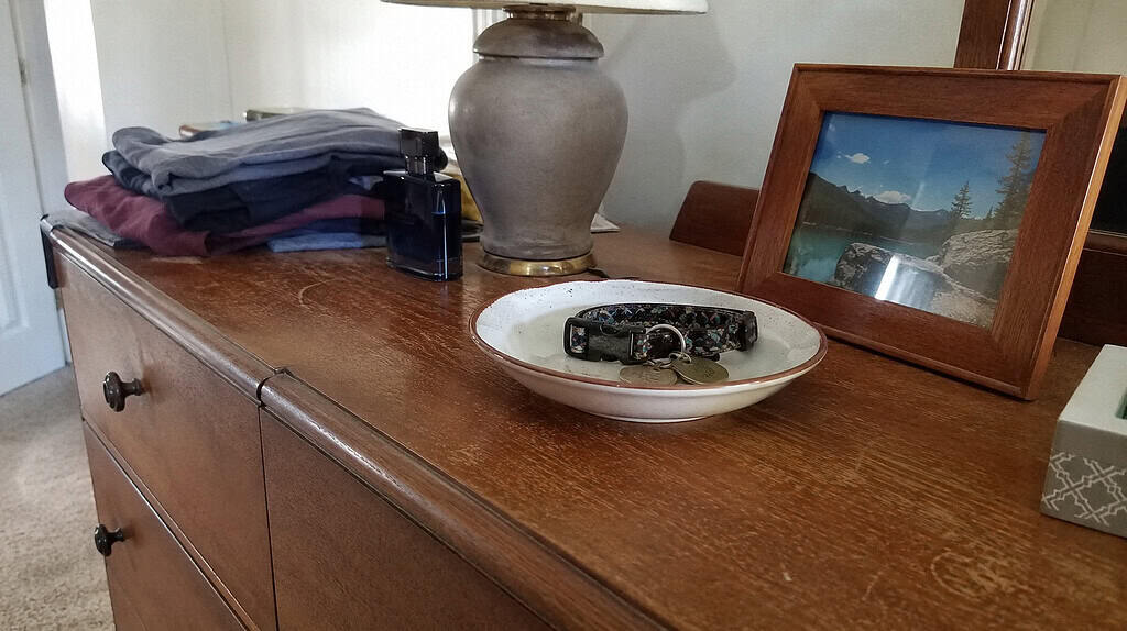 A pet collar with a small name tag resting in a little dish on top of a bedroom dresser, kept as a keepsake, in soft daylight