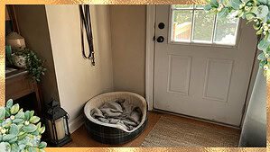 An empty pet bed with a rumpled blanket on the floor beside a back door, with a leash hanging on a hook above it in soft daylight