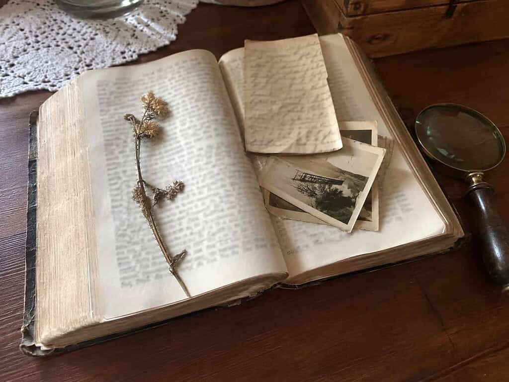 An old family Bible open on a table with a pressed flower, faded photographs, and a folded letter tucked between the pages