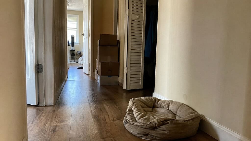 A hallway with an empty pet bed in the foreground and, further down, a partly open closet and a few stacked boxes waiting to be sorted