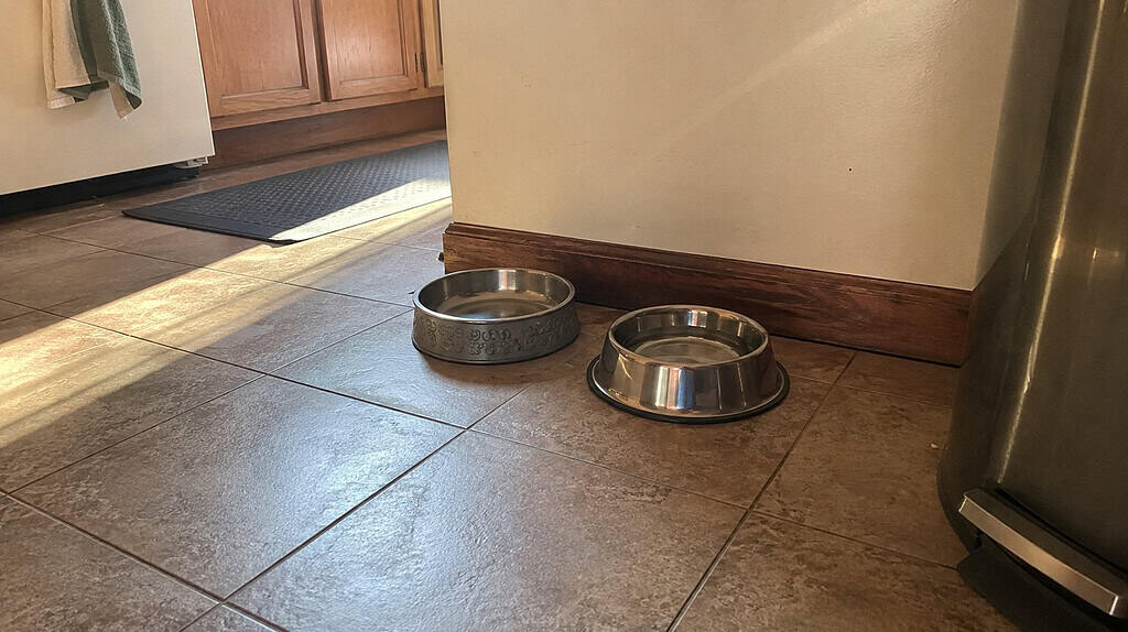An empty pet food bowl and water bowl still sitting on the kitchen floor in warm morning light, in the spot where a pet used to eat
