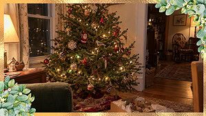 A slightly crooked Christmas tree hung with old glass ornaments, red bells, a felt Santa, and children's handmade ornaments, with an open box of white tissue on the rug.