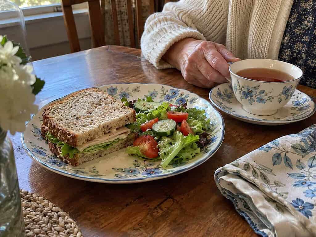 An everyday lunch served on a pretty china plate with a matching teacup, and a woman's hand resting beside it.